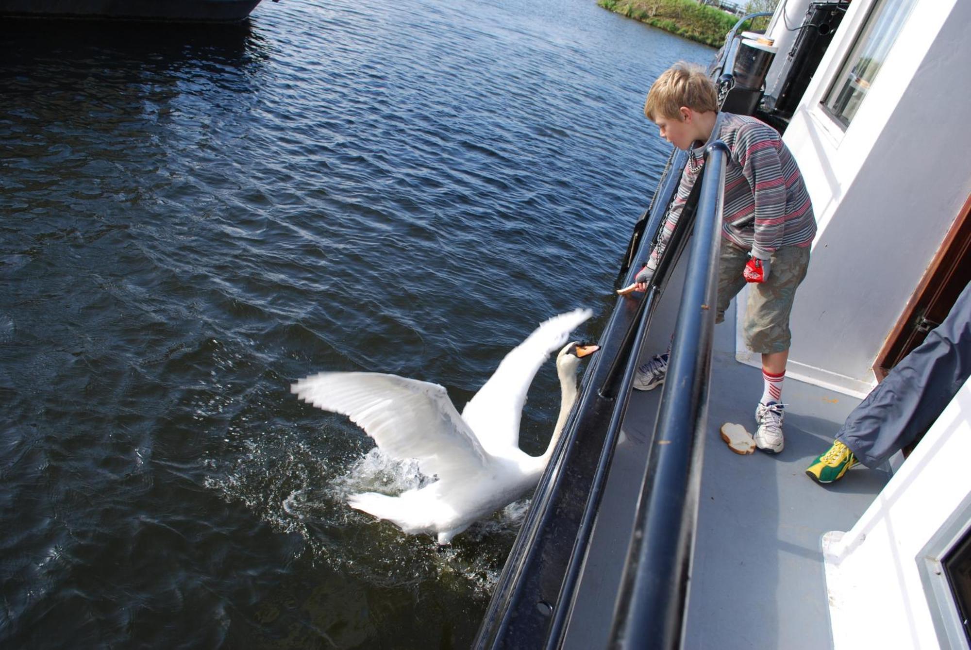 Hotelboot Zwaan Amsterdam Exteriör bild